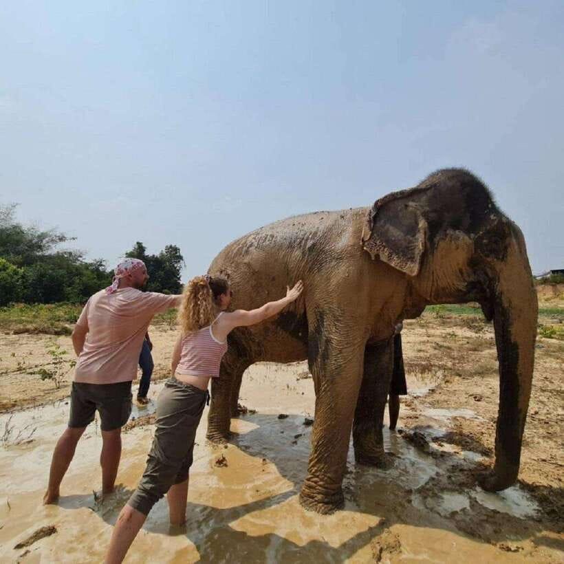 Cambodia Elephant Sanctuary and Banteay Srey Temple Tour - If your guide names come up, here’s what to expect
