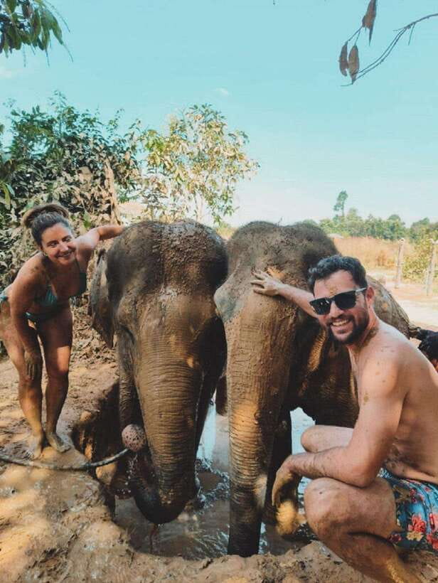 Cambodia Elephant Sanctuary and Banteay Srey Temple Tour - Walking with elephants, plus feeding and bathing time