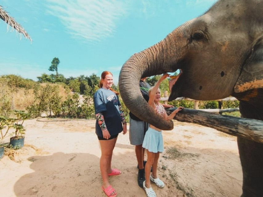 Cambodia Elephant Sanctuary and Banteay Srey Temple Tour - Banteay Srei, the Citadel of Women, and the magic of pink sand-stone