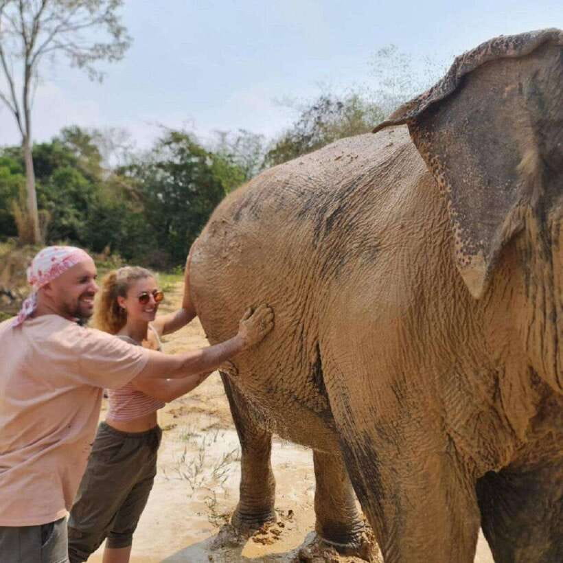 Cambodia Elephant Sanctuary and Banteay Srey Temple Tour - Price and logistics: is $71 good value for this mix?