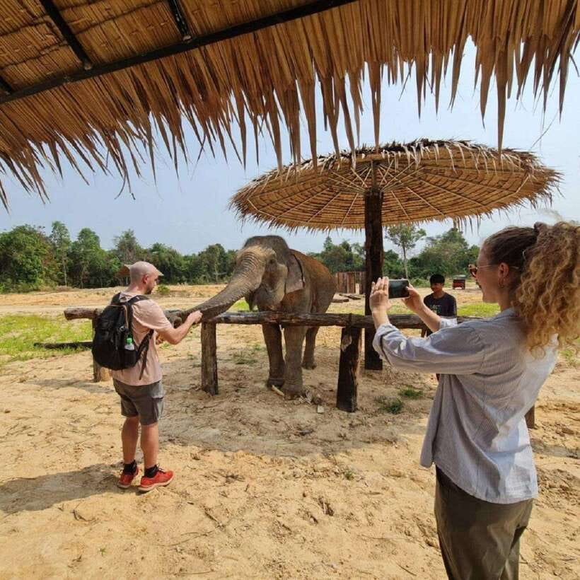 Cambodia Elephant Sanctuary and Banteay Srey Temple Tour - Practical tips for a smoother day in Siem Reap heat