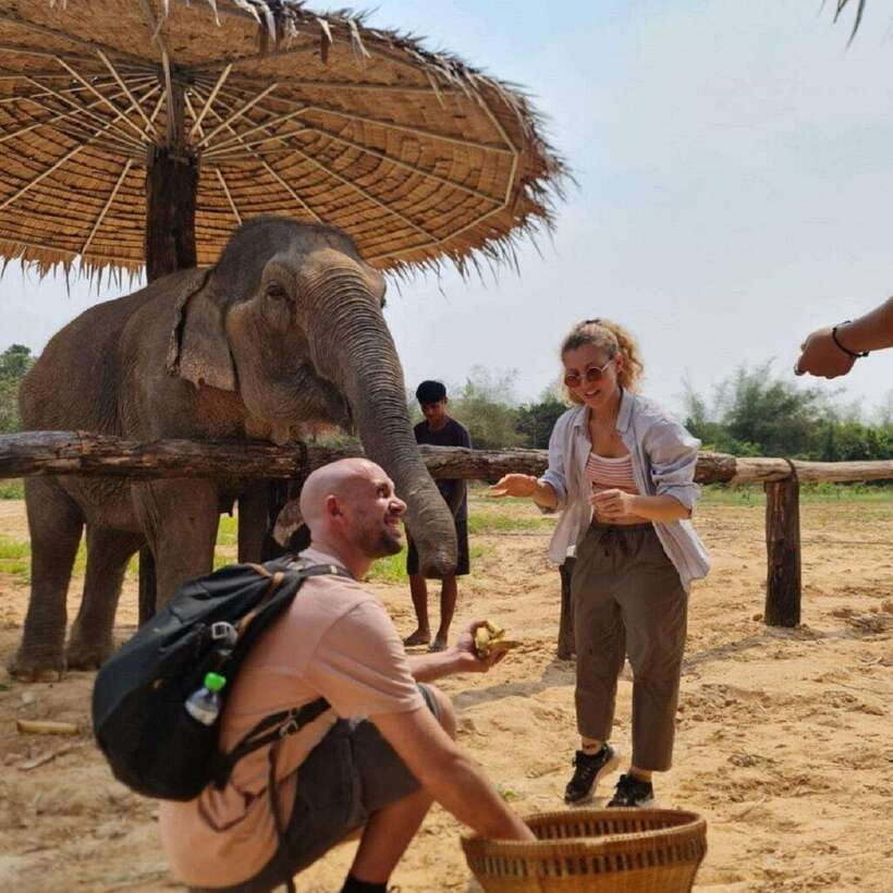 Cambodia Elephant Sanctuary and Banteay Srey Temple Tour - Elephant Cooking Activity at the sanctuary, where care starts with food
