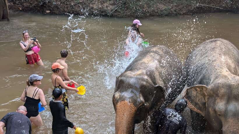 Cambodia Elephant Sanctuary Include Hotel Transfer Roundtrip - Walking With Elephants: What the Guide Helps You Do Right