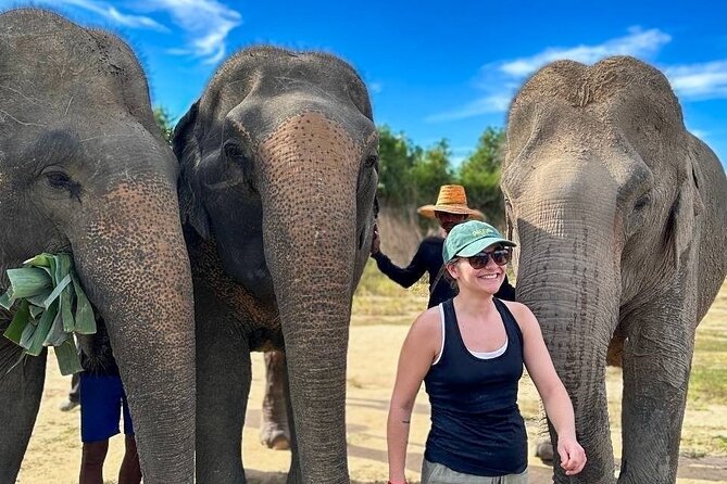Cambodia Elephants Haft Day Experiences from Siem Reap - Making Treats and Feeding: The Part You Will Remember