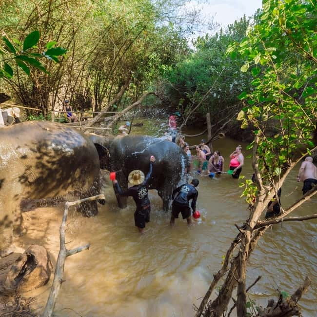 Cambodia Elephants Haft Day Experiences from Siem Reap - Viewpoint Pause: Quick Scenery Break on the Way