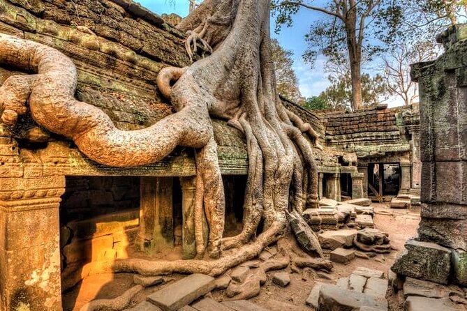 Cambodia Highlight 6 Days Tour from Siem Reap to Phnom Penh - Day 5 Phnom Penh highlights, from the Royal Palace to the killing fields