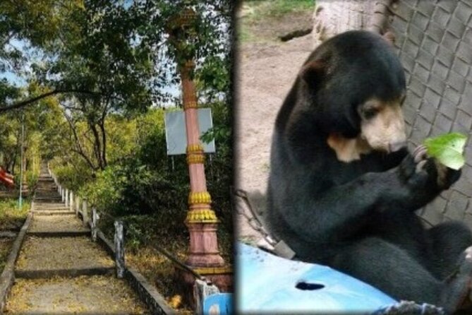 Cambodia Wildlife Sanctuary and Countryside Tour - Key Things You Should Know Before You Go