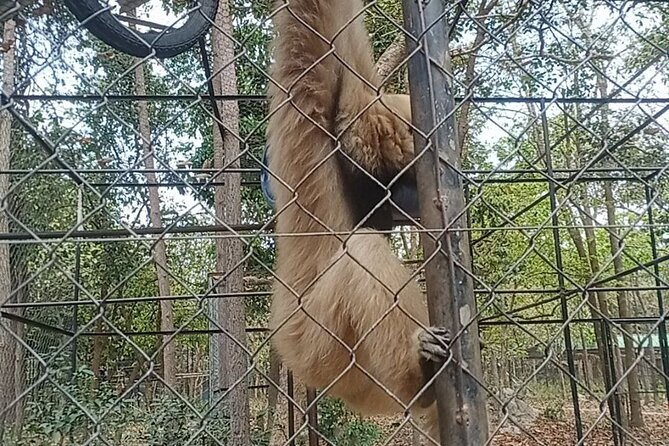 Cambodia Wildlife Sanctuary and Countryside Tour - A Long, Low-Stress Countryside Arc From Phnom Penh