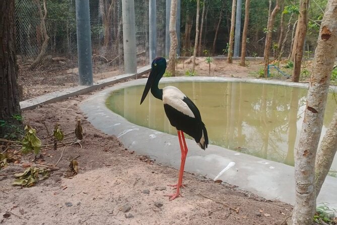 Cambodia Wildlife Sanctuary and Countryside Tour - Should You Book This Cambodia Wildlife Sanctuary and Countryside Tour?