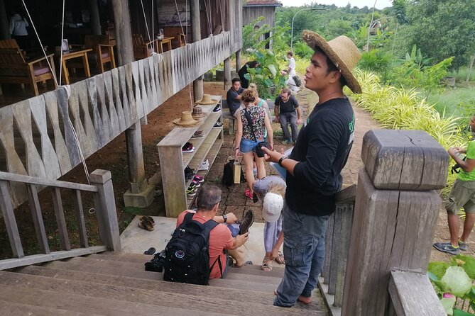 City Highlights and the Killing Fields Day Tour - Central Market and Wat Phnom: a needed reset, not a distraction