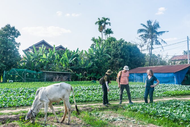 Countryside Sunset Jeep Tour with Drinks included - Price and Value: Is $60 Fair for This Siem Reap Half-Day?