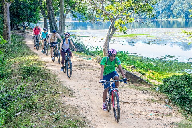 Cycle the Angkor Backroads with lunch / E-Bike or Tuk Tuk - Bayon and the Angkor Thom gate: faces you can actually study