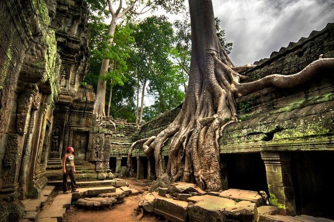 Day trip Phnom Penh to Siem Reap & Return back - Getting Oriented Fast at Angkor Wat (2 Hours)