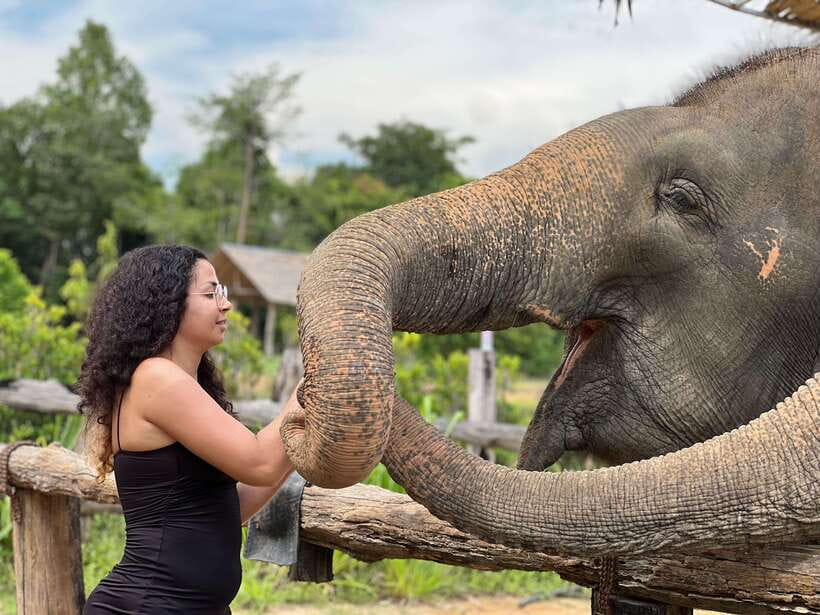 Elephant Sanctuary Cambodia, Pickup and drop off included - Key things to know before you go