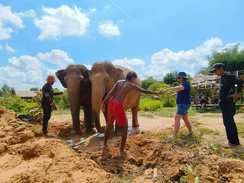 Elephant Sanctuary Cambodia, Pickup and drop off included - Snacks and Coffee Break: A Simple Landing After a Big Day