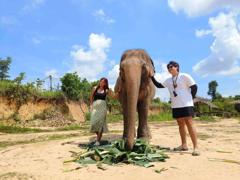 Elephant Sanctuary Cambodia, Pickup and drop off included - Price, Timing, and Value for Money at $58 per Person
