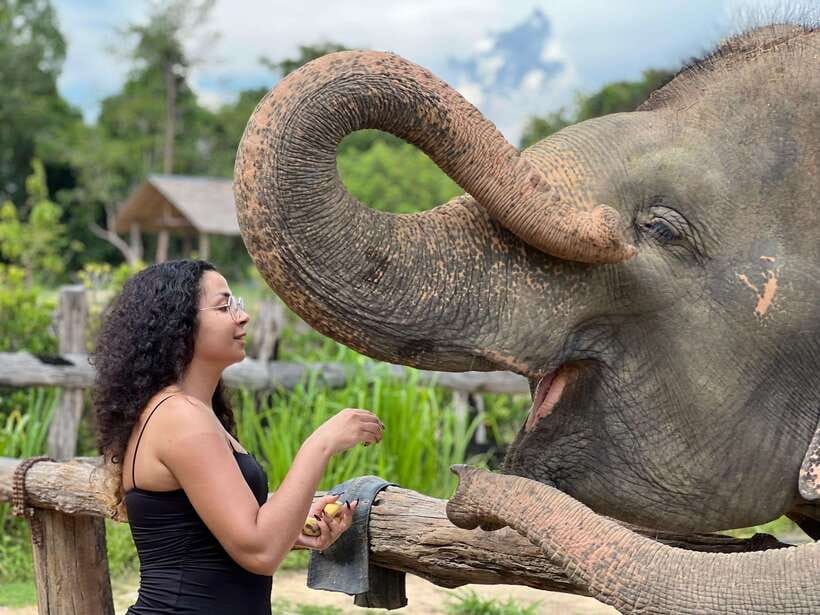 Elephant Sanctuary Cambodia, Pickup and drop off included - Meet the Rescued Herd and Understand the Sanctuary Mission