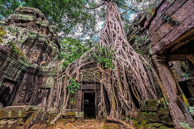 Explore Angkor Sunrise Spectacle a Full Day Temples Tour - Transport Comfort and the Rhythm of a Long Day