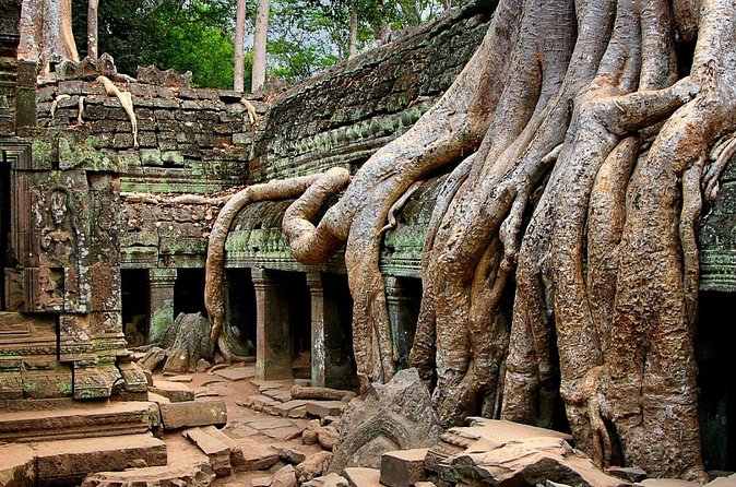 Explore Angkor Wat Temple , Bayon Temple and Jungle Temple Ta-Prohm - Price and what you actually get for $43 per person