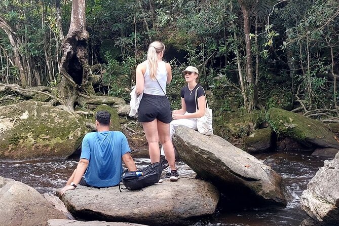 Exploring Bokor National Park Full-Day Tour from Sihanoukville - Price and logistics: what the $99 covers