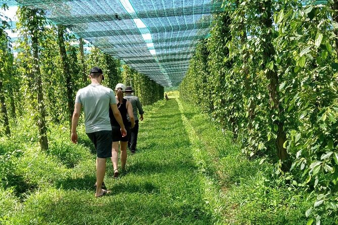 Exploring Kampot: A Memorable Tour from Sihanoukville - Key things that make this Kampot tour worth your time