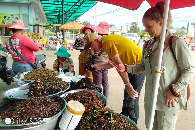 Exploring Siem Reap: Scenic Journey from Phnom Penh or Vice Versa - Timing tips so the day doesn’t feel rushed