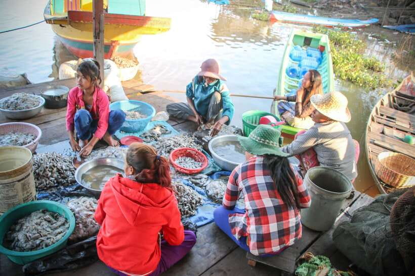 Floating Village and Tonlé Sap Sunset Tour - The Motorboat Ride Through Tonlé Sap Waterways