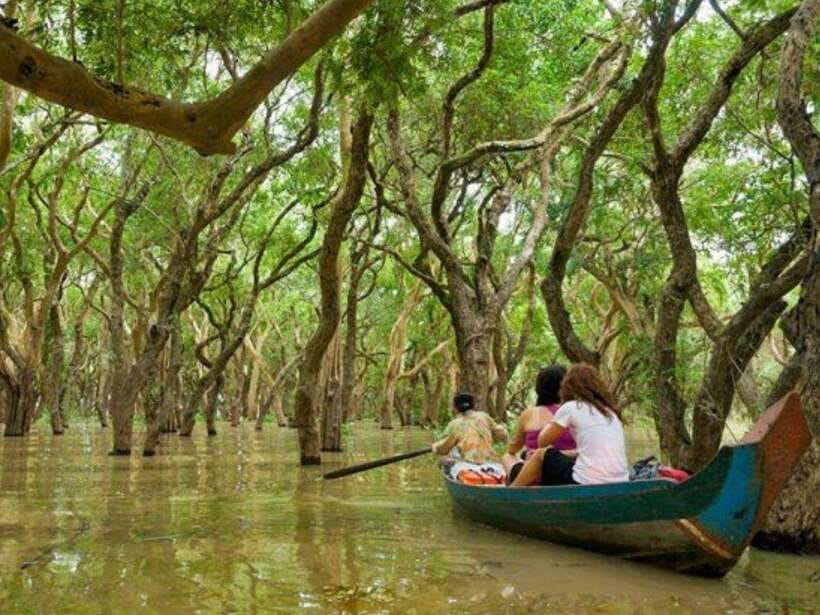 Floating Village-Mangroves Forest Tonle Sap Lake Boat Tour - Why Kampong Phluk and Tonle Sap feel like a real life-in-motion day