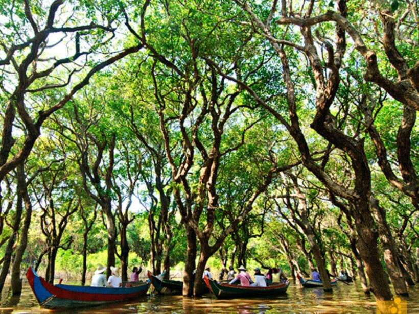 Floating Village-Mangroves Forest Tonle Sap Lake Boat Tour - Price and value: what $19 includes for an 8-hour day