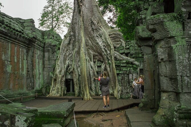 (Free eSim) Classic Angkor Wat Sunrise Full Day Tour - Stop 3: Ta Nei, the quieter forest temple break