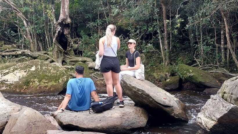 From Kampot: Bokor National Park Scenic Tour - Old Catholic Church and Wat Sampov Pram: Culture in the Middle of the Trees