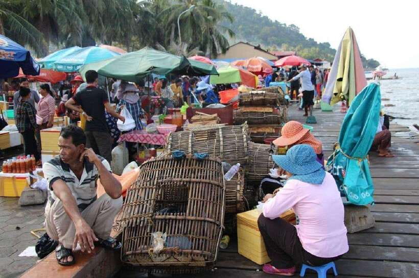 From Phnom Penh: Kampot Day Trip to Beautiful place W/ Guide - Should You Book This Kampot and Kep Day Trip from Phnom Penh?