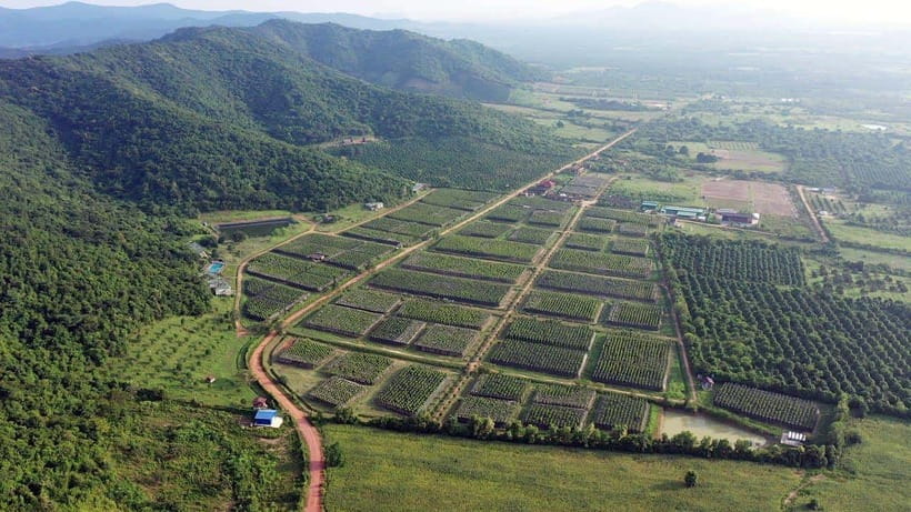 From Phnom Penh: Kampot Day Trip to Beautiful place W/ Guide - Phnom Penh Pickup to Kep Crab Market: The Coastal Start