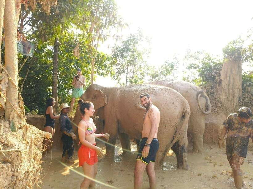 From Siem Reap: Elephant Sanctuary Experience with Transfers - Key Highlights You’ll Care About