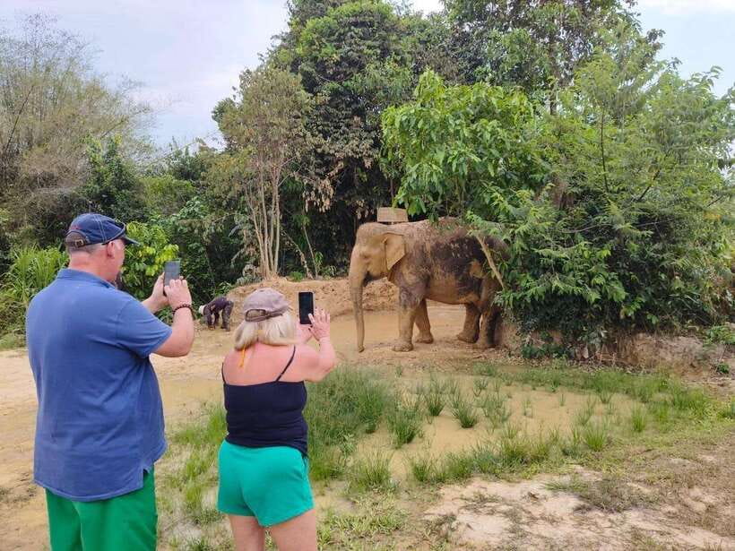 From Siem Reap: Elephant Sanctuary Experience with Transfers - Why This Elephant Sanctuary Visit Feels Different in Siem Reap