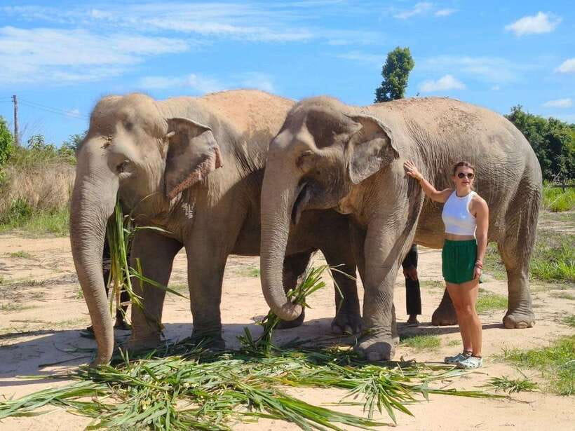 From Siem Reap: Elephant Sanctuary Experience with Transfers - The Elephant Briefing and Safety Rules You Should Take Seriously