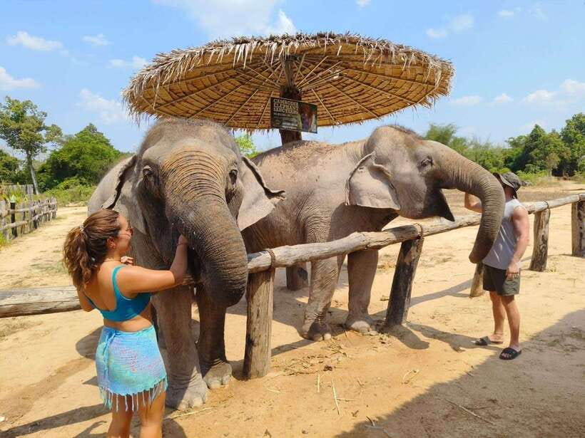 From Siem Reap: Elephant Sanctuary Experience with Transfers - Feeding Time: Handmade Snacks and Digestive-Friendly Meals