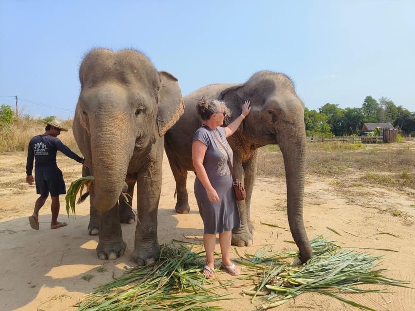 From Siem Reap: Elephant Sanctuary Experience with Transfers - River Bathing and Scrubbing: Close Up, With Clear Direction