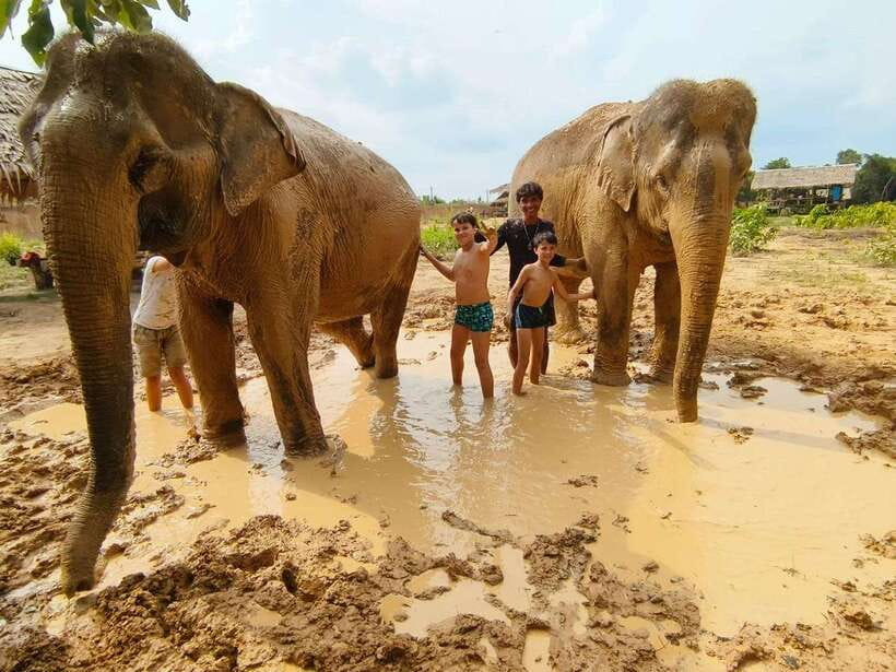From Siem Reap: Elephant Sanctuary Experience with Transfers - Getting There From Your Siem Reap Hotel (Minivan Time Matters)