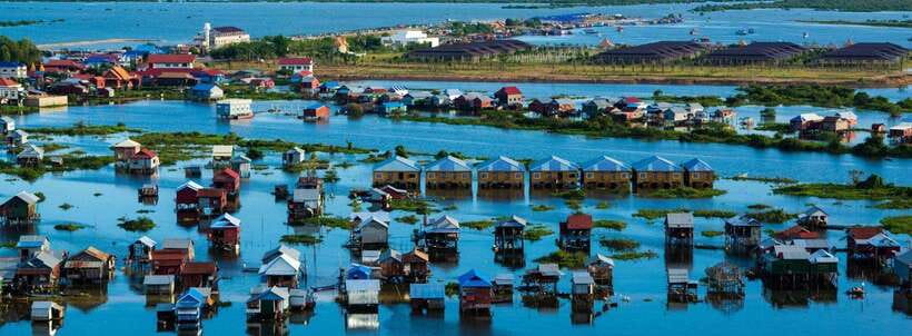 From Siem Reap: Floating Village Tour by Boat - The flooded forest rowing side trip, only in the wet-season window