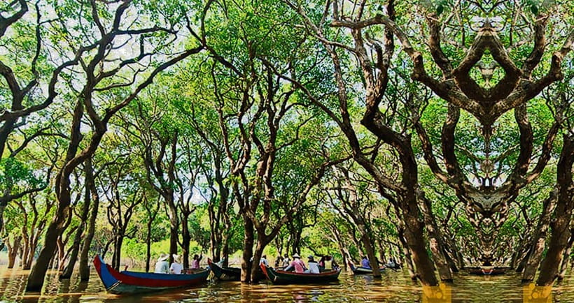 From Siem Reap: Floating Village Tour by Boat - Price and value, what $26 really buys you