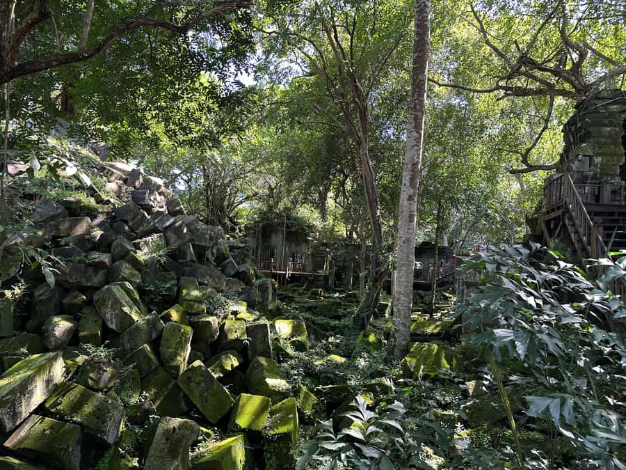 From Siem Reap: Half-Day Tour to Beng Mealea Temple - How the History Lands When It’s Tied to What You See