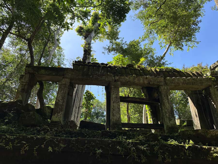 From Siem Reap: Half-Day Tour to Beng Mealea Temple - Stop by Stop: How the Half-Day Timeline Really Feels