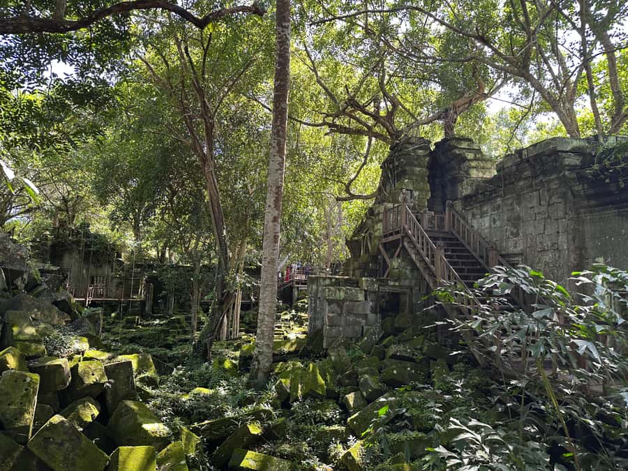 From Siem Reap: Half-Day Tour to Beng Mealea Temple - What You Need to Bring, and What to Wear