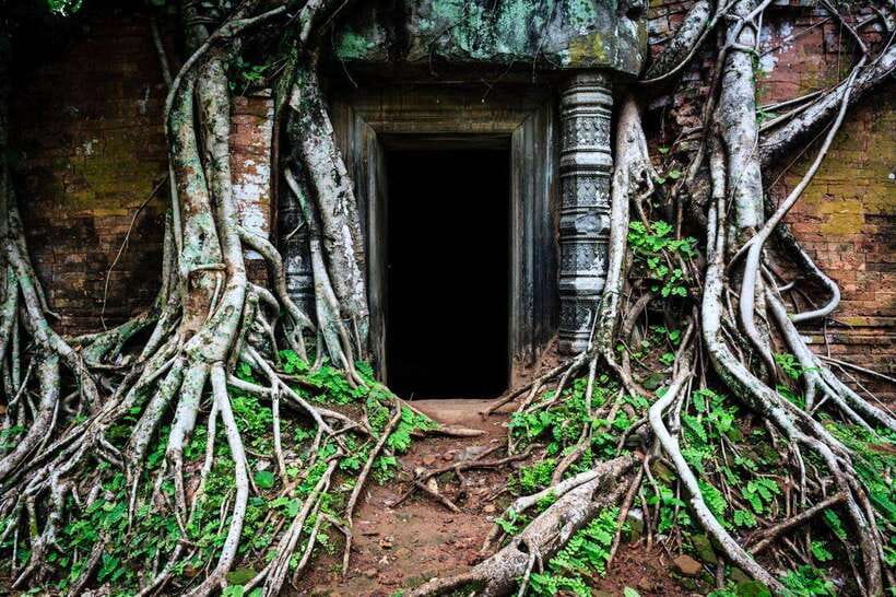 From Siem Reap: Koh Ker and Beng Mealea Temples Tour - Should you book Koh Ker and Beng Mealea from Siem Reap?