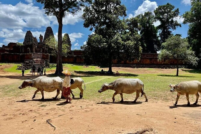Full-Day 'Big Tour' with Sunset at Phnom Bakheng - Who this tour fits best, and who should think twice