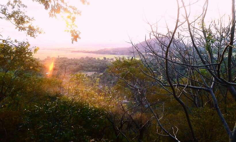 Full-day: Handicraft, Bamboo train, Killing cave, Bat Cave - Sangke River villages, suspension bridges, and farm conversations