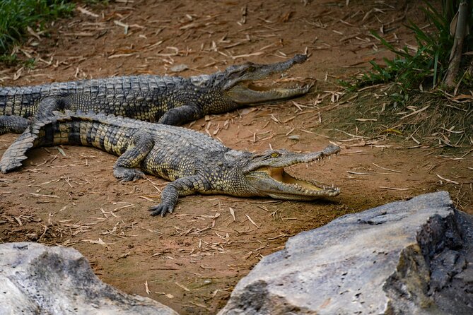 Full Day Pass Angkor Wildlife and Aquarium - Siem Reap - Key Things You’ll Notice First