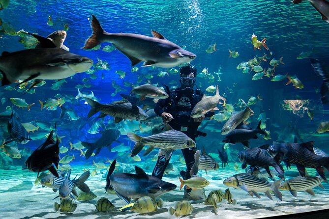 Full Day Pass Angkor Wildlife and Aquarium - Siem Reap - Your $15 Angkor Wildlife and Aquarium Pass, What You Actually Get