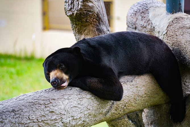 Full Day Pass Angkor Wildlife and Aquarium - Siem Reap - Ocean Aquarium: Fresh to Salt in One Track